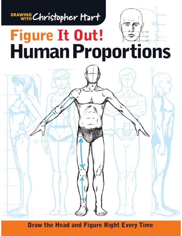 Figure It Out! Human Proportions