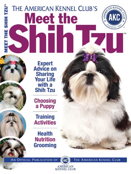 Meet the Shih Tzu