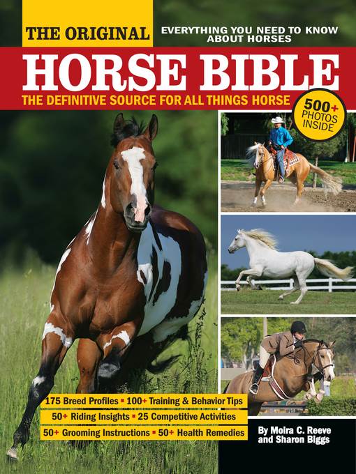 The Original Horse Bible