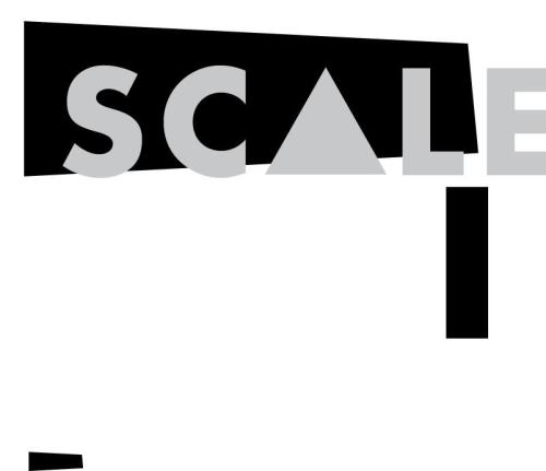 Scale: A Novel