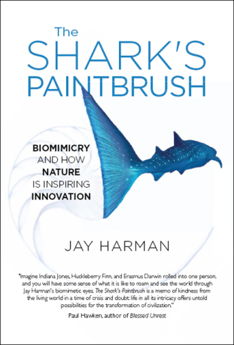 The Shark's Paintbrush