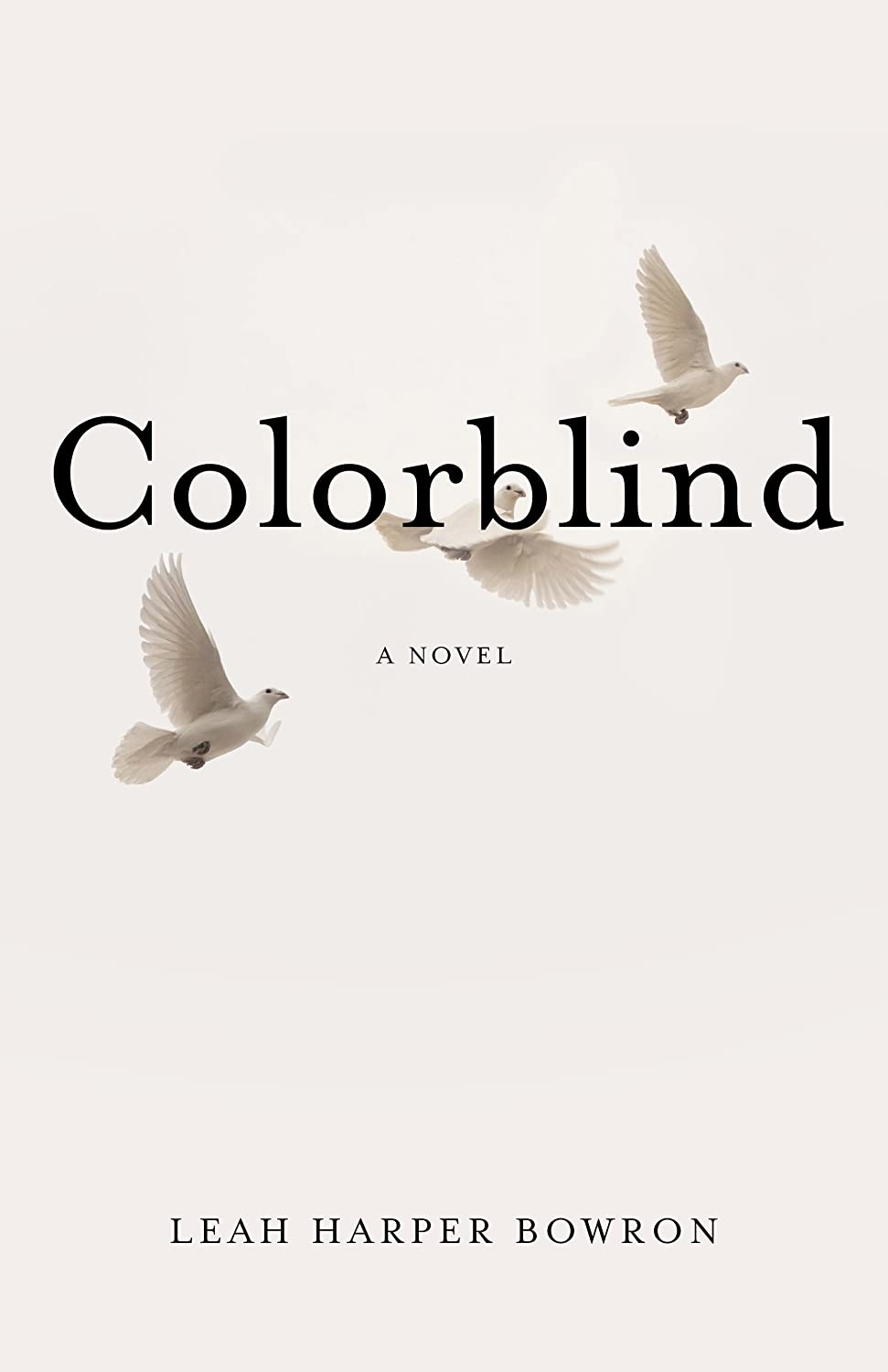 Colorblind: A Novel