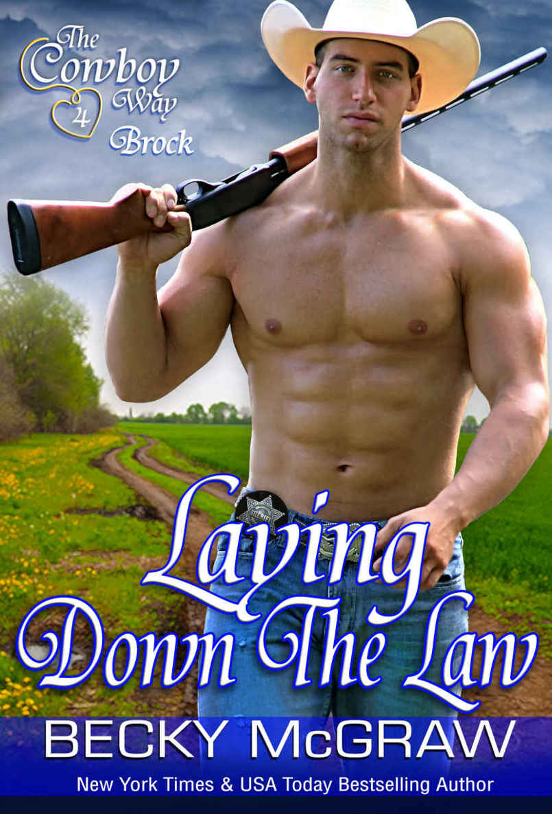 Laying Down the Law : The Cowboy Way, #7