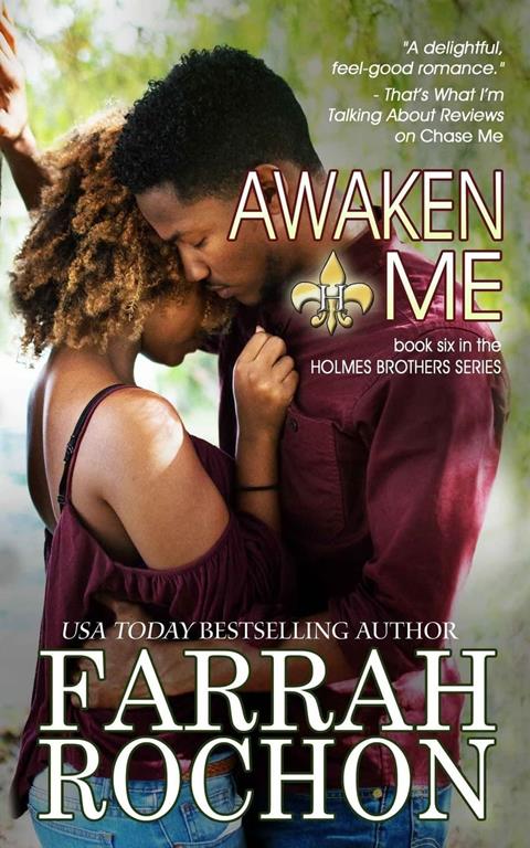 Awaken Me (The Holmes Brothers) (Volume 6)