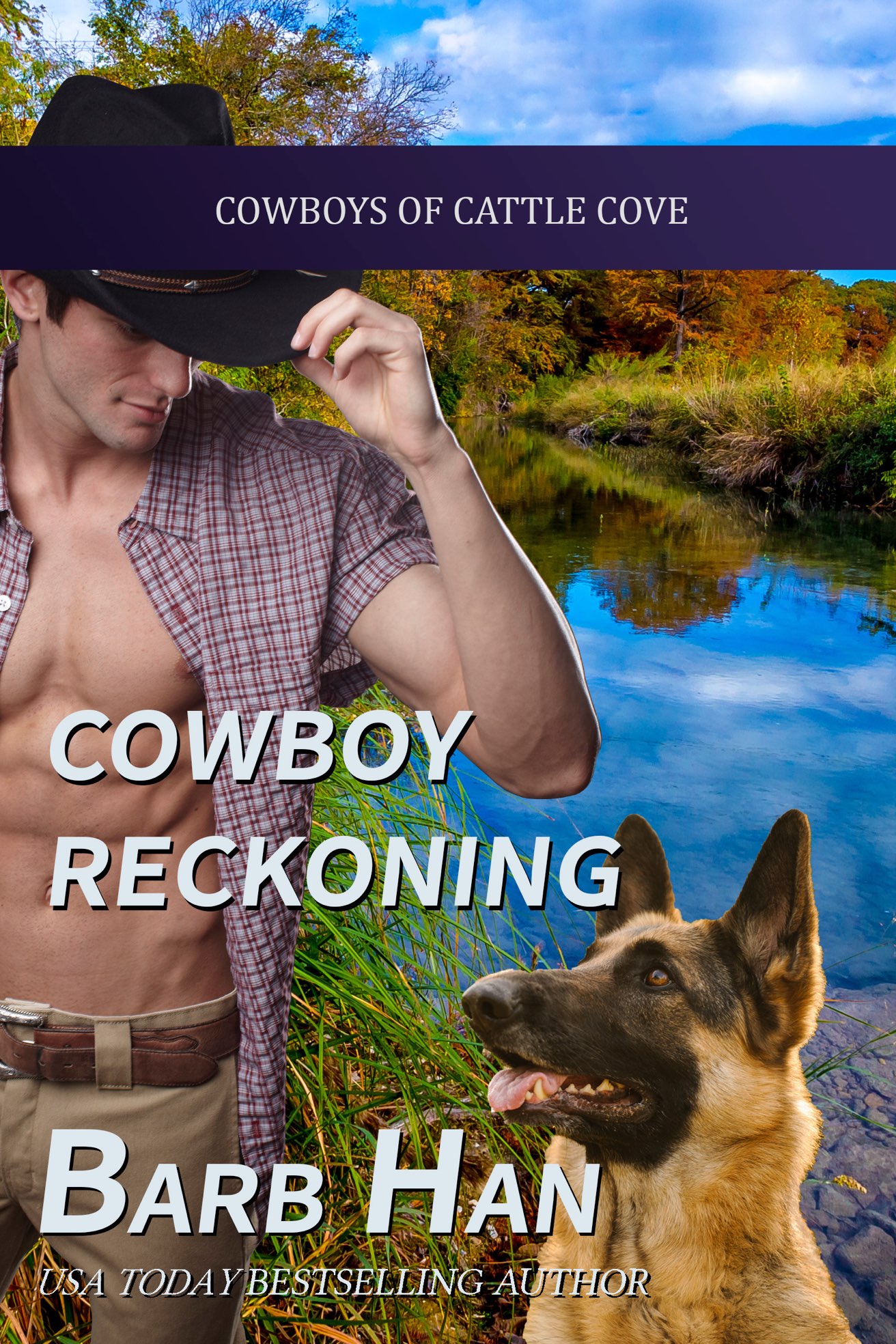 Cowboy Reckoning (Cowboys of Cattle Cove)