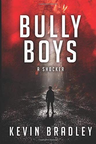 Bully Boys: A compelling insight into the shocking world of boarding school bullying (A Hedge &amp; Cole Thriller Series supplement).