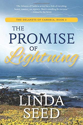 The Promise of Lightning (The Delaneys of Cambria) (Volume 2)