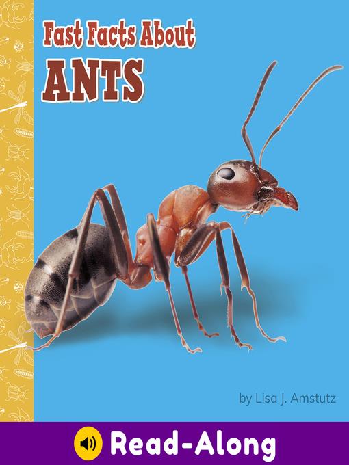 Fast Facts About Ants