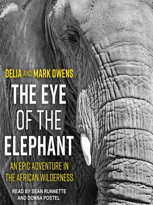 The Eye of the Elephant