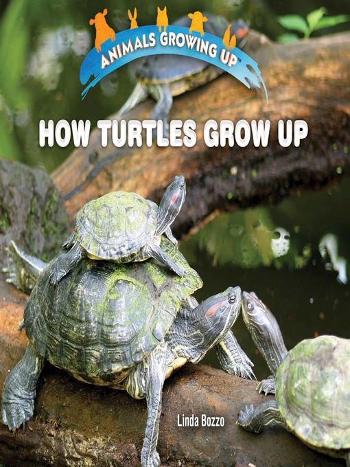 How Turtles Grow Up