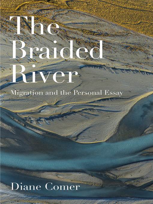 The Braided River