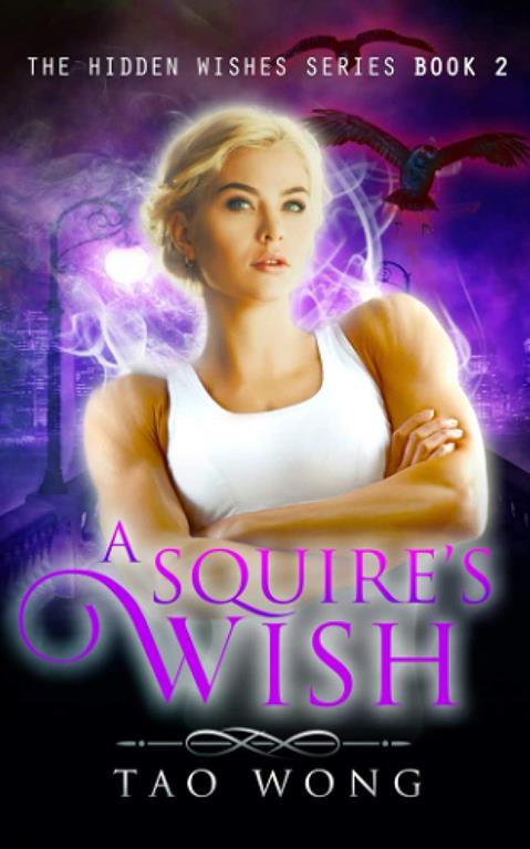 A Squire's Wish: A GameLit novel (Hidden Wishes)