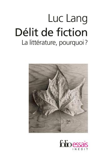 Délit de fiction : la littérature, pourquoi?