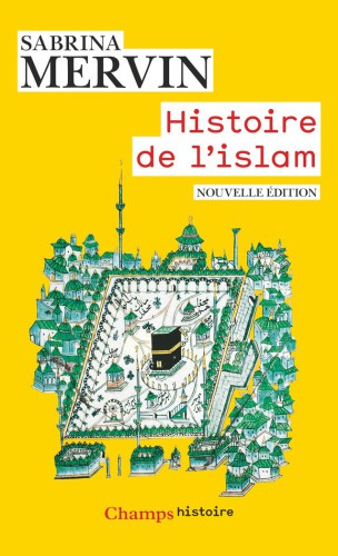 Histire de l'islam, fondements et doctrines (Champs histoire)