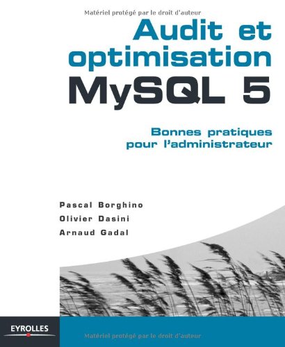 Audit Et Optimisation My Sql 5 (French Edition)