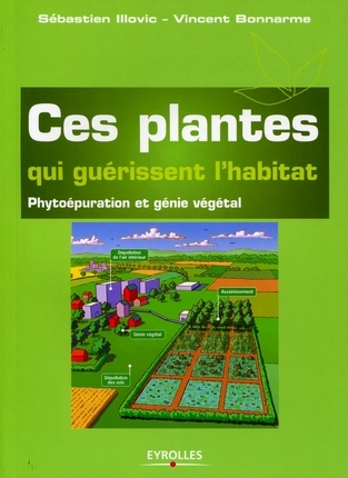 Ces plantes qui guérissent l'habitat : phytoépuration et génie végétal