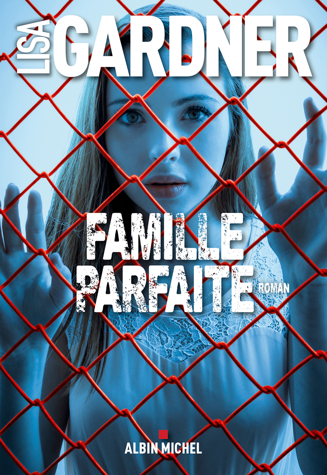 Famille parfaite : roman