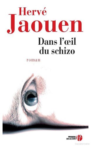 Dans l'oeil du schizo : roman