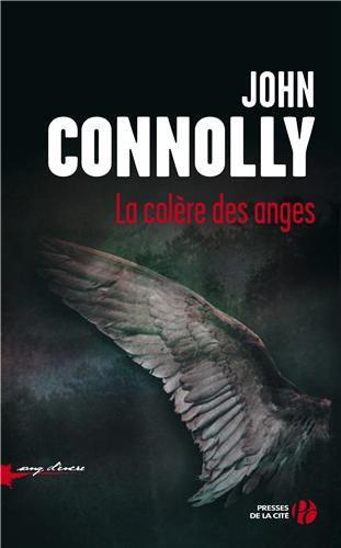 La colère des anges : roman