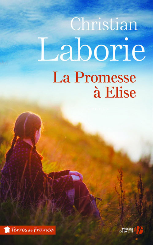 La promesse à Élise : roman