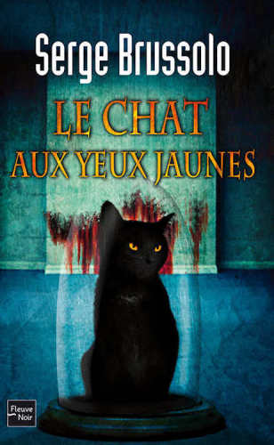 Le chat aux yeux j