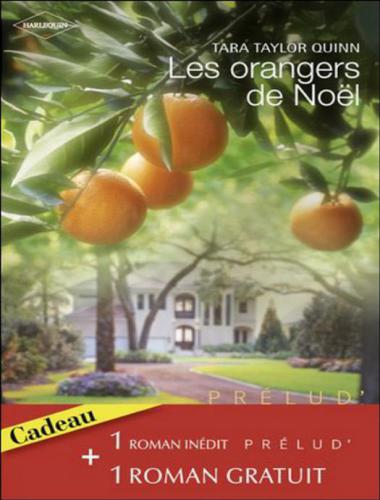 Les Orangers De Noël