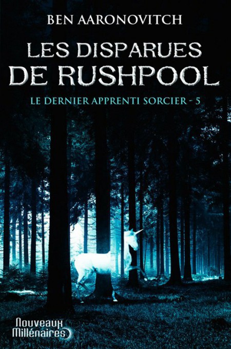 Le dernier apprenti sorcier : roman