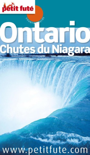 Ontario, chutes du Niagara 2010-2011