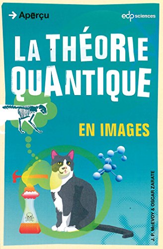 La théorie quantique en images