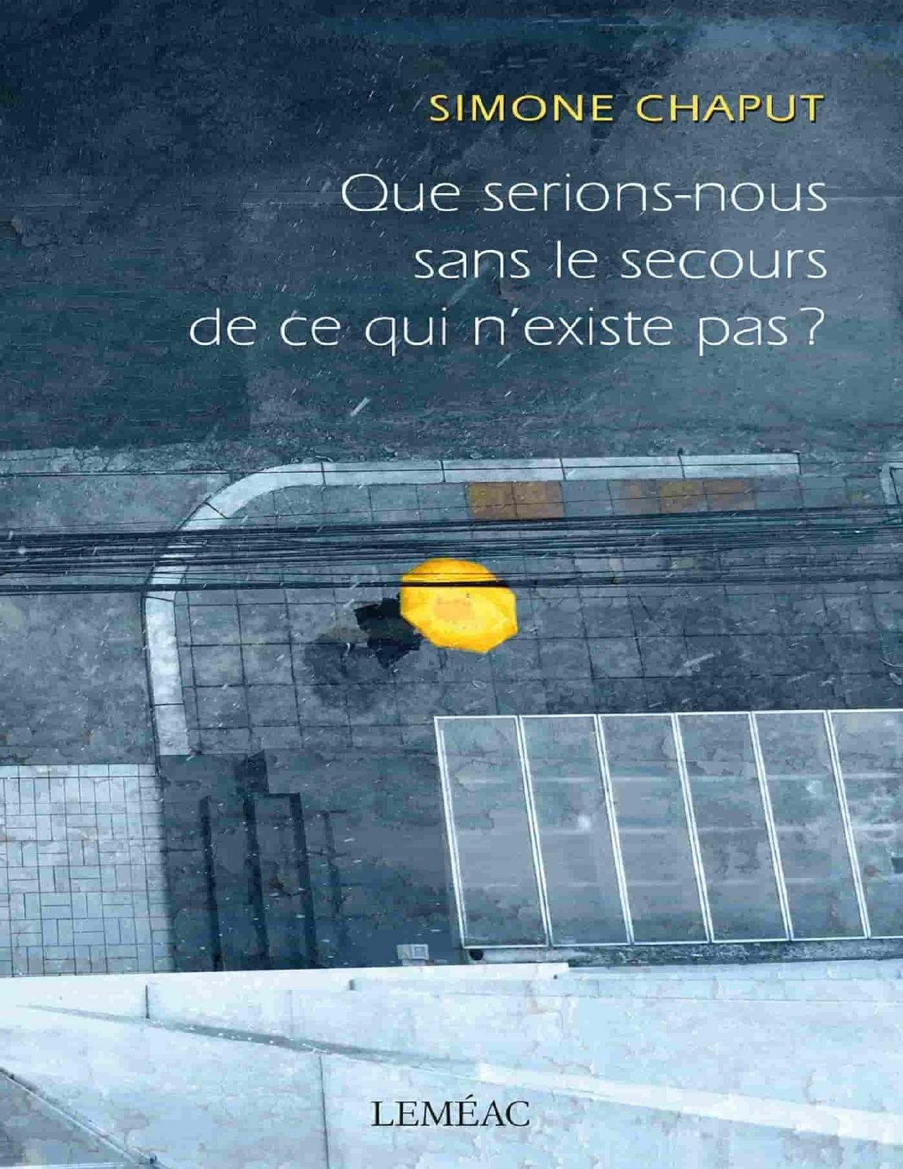 Que serions-nous sans le secours de ce qui n'existe pas ? : roman