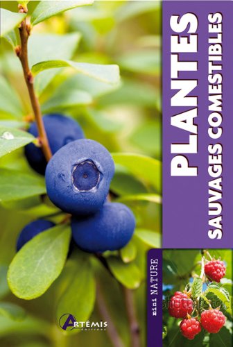 Plantes sauvages comestibles.