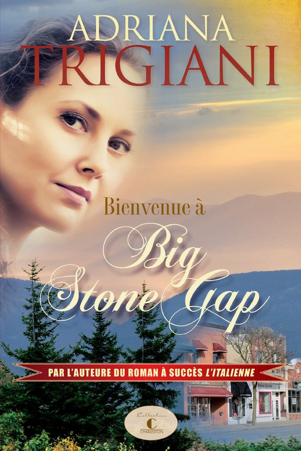 Bienvenue à Big Stone Gap : roman