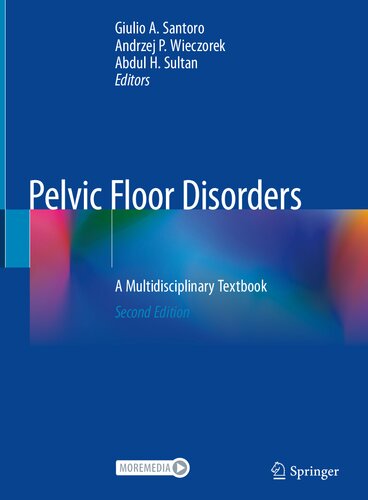 Pelvic floor disorders : a multidisciplinary textbook