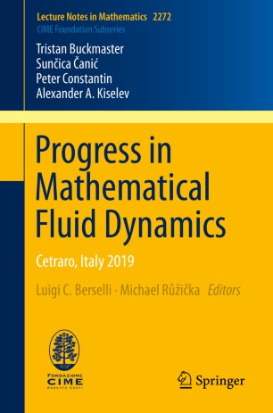 Progress in Mathematical Fluid Dynamics : Cetraro, Italy 2019