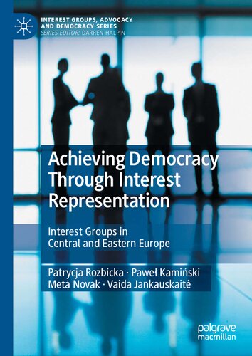 Achieving Democracy Through Interest Representation