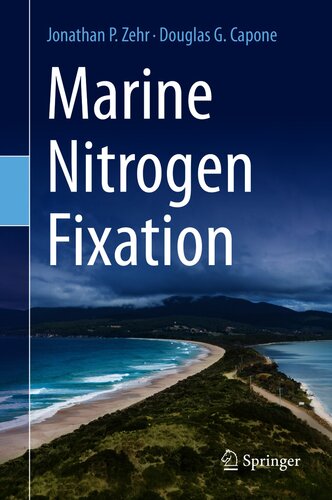 Marine nitrogen fixation