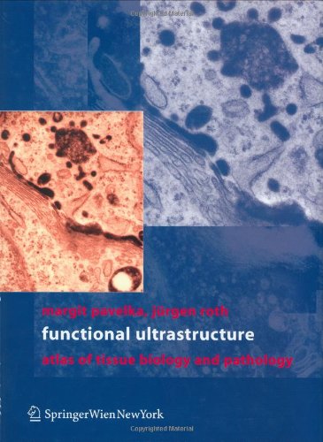 Functional Ultrastructure