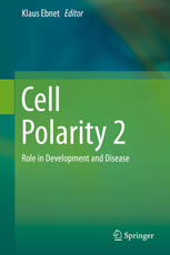 Cell polarity