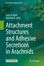 Attachment Structures and Adhesive Secretions in Arachnids.