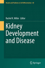 Kidney development and disease