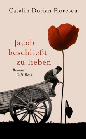 Jacob beschließt zu lieben : Roman