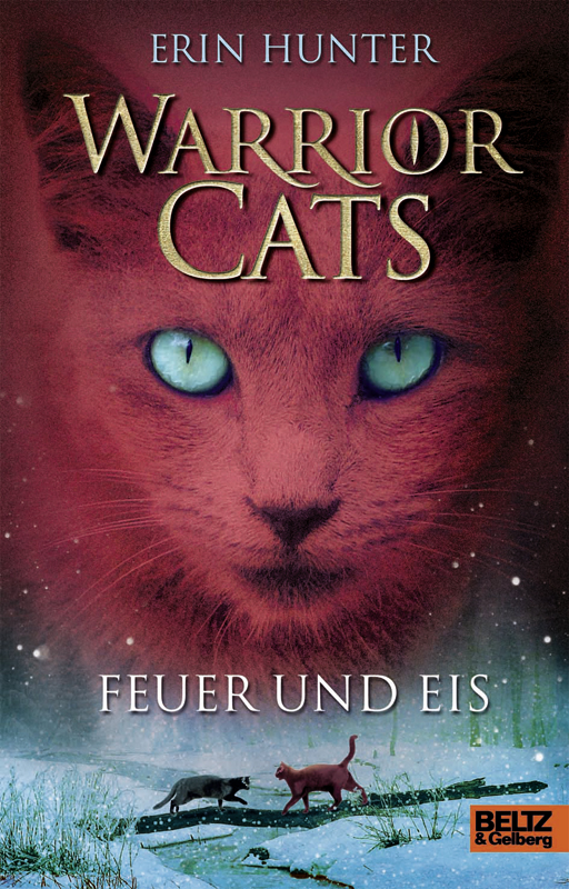 Feuer und Eis Warrior Cats I ; Bd. 2