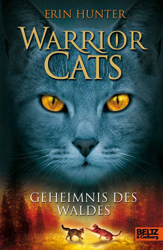 Geheimnis des Waldes Warrior Cats I ; Bd. 3