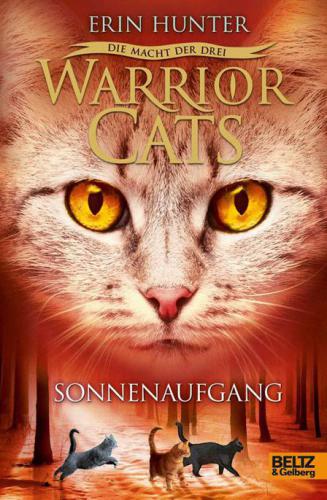 Warrior Cats - Die Macht der drei. Sonnenaufgang III, Band 6