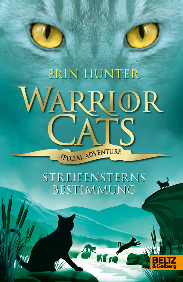 Streifensterns Bestimmung Warrior Cats : Special adventure