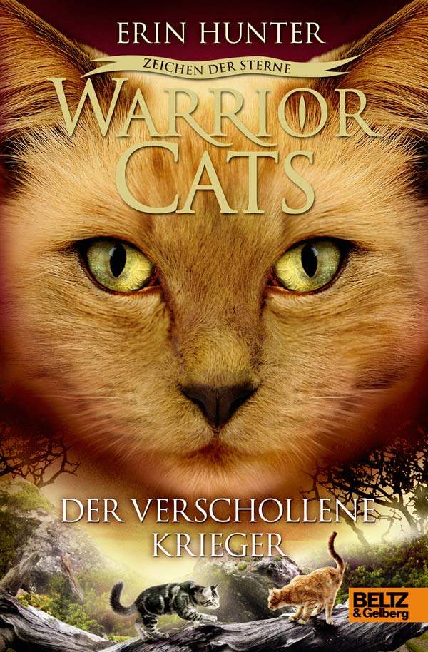 Warrior Cats - Zeichen der Sterne, Der verschollene Krieger IV, Band 5