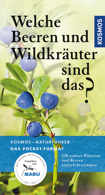 Welche Beeren und Wildkräuter sind das? 130 Wildkräuter und Beeren einfach bestimmen