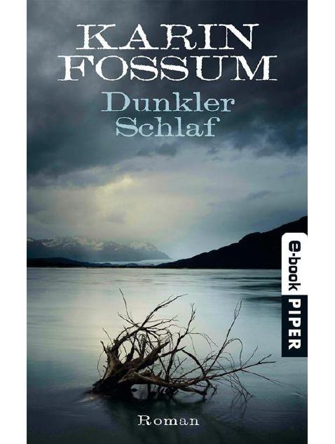 Dunkler Schlaf Roman