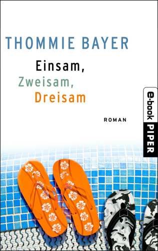 Einsam, zweisam, dreisam Roman