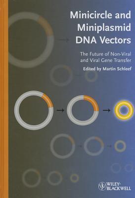 Minicircle and Miniplasmid DNA Vectors